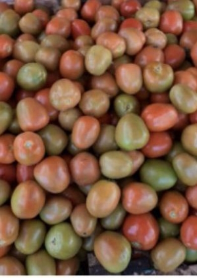 Picture of vegetables and Seeds