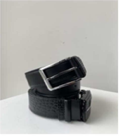 Picture of Men's belt