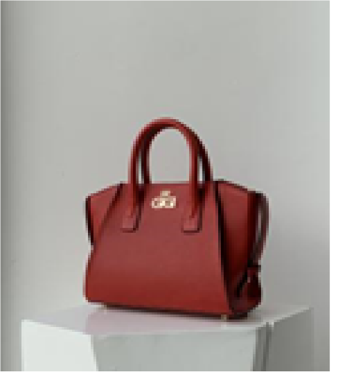 Picture of Gigi’s medium sized hand bag with zipper