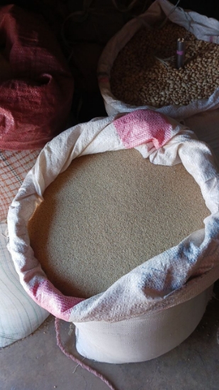 Picture of white teff